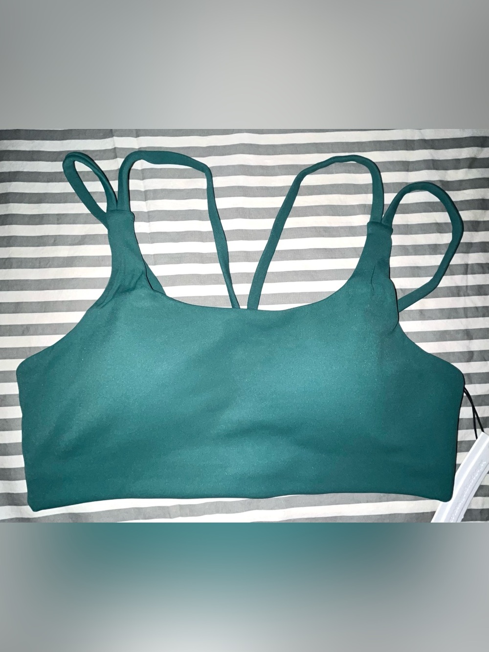 Paragon Fitwear RecStretch Radiate Bra in Cyber Size M